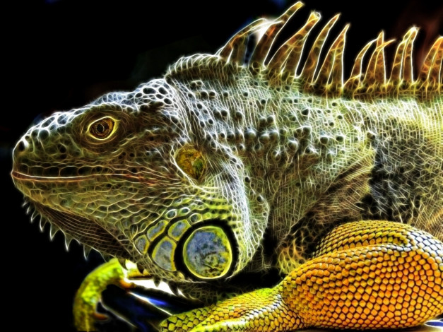 Обои картинки фото 3д, графика, animals, животные