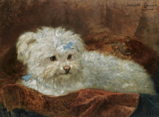 Картинка рисованные henriette ronner knip ronner-knip