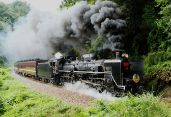 Картинка техника паровозы паровоз дым деревья