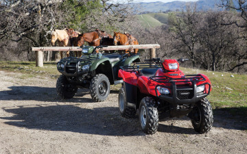 Картинка мотоциклы квадроциклы кони живые железные