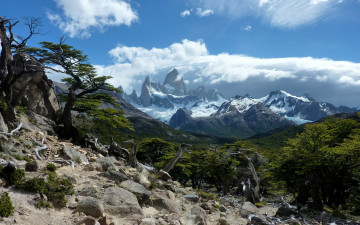 Картинка природа горы камни дерево