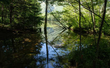 Картинка природа реки озера