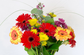 Картинка цветы букеты композиции хризантемы герберы