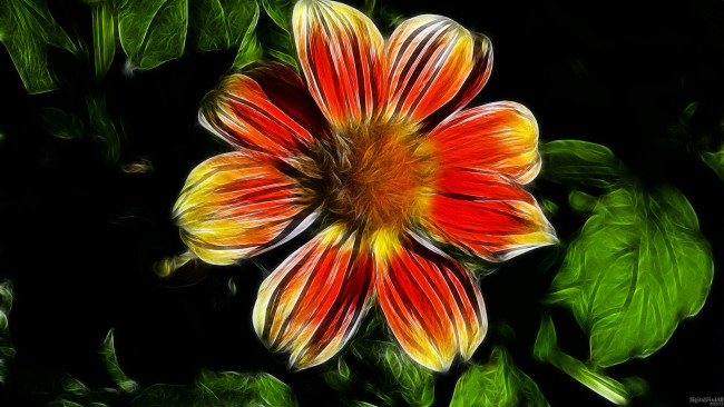 Обои картинки фото 3д, графика, flowers, цветы, лепестки, листья, фон