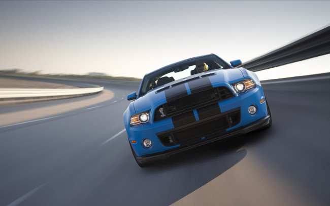 Обои картинки фото автомобили, mustang, ford, shelby, gt500