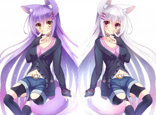 Картинка аниме -animals+&+creatures ушки нэко арт девушки