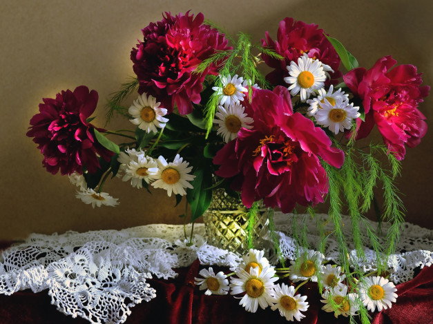 Обои картинки фото цветы, разные вместе, ромашки, пионы