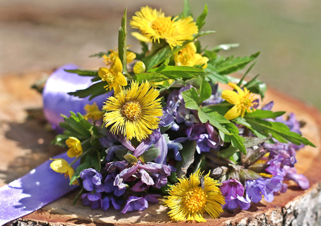 Обои картинки фото цветы, луговые , полевые,  цветы, букетик