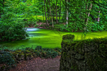 Картинка природа реки озера река лес