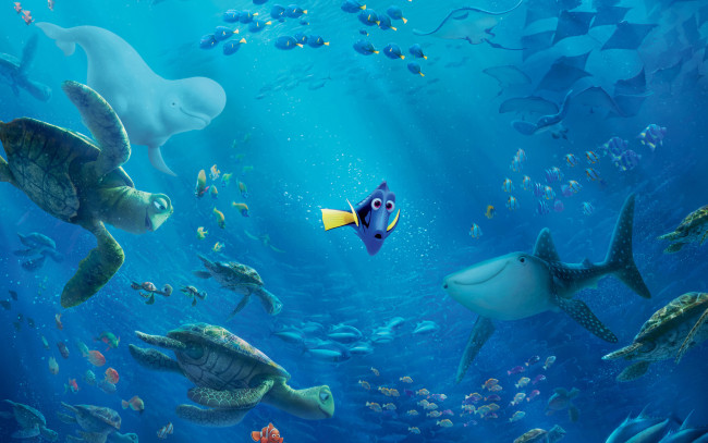 Обои картинки фото мультфильмы, finding dory, finding, dory, pixar, disney