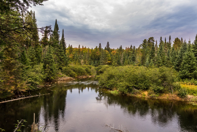 Обои картинки фото природа, реки, озера, лес, река
