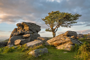 Картинка природа пейзажи простор