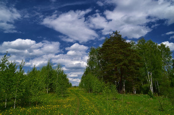 Картинка природа пейзажи простор