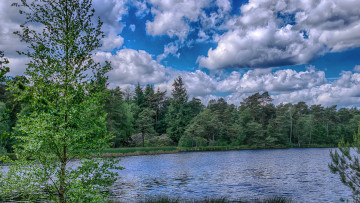 Картинка природа реки озера лес река