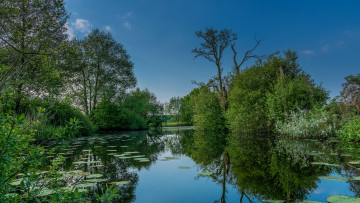 Картинка природа реки озера река лес