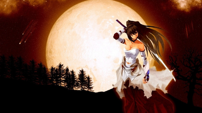 Обои картинки фото аниме, оружие,  техника,  технологии, девушка