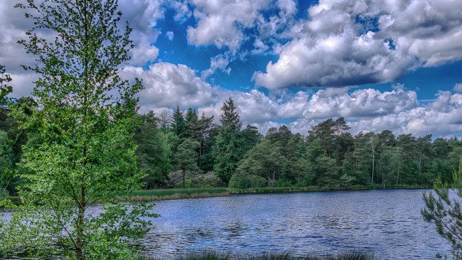 Обои картинки фото природа, реки, озера, лес, река