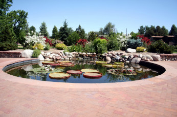 Картинка природа парк камни пруд