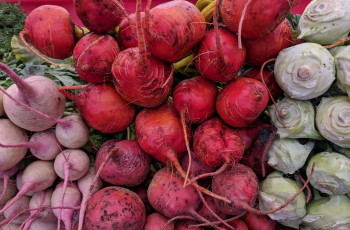 Картинка еда овощи кольраби свекла