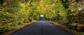 Картинка природа дороги шоссе