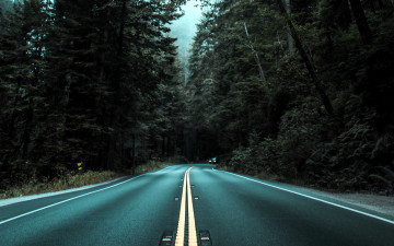 Картинка природа дороги шоссе