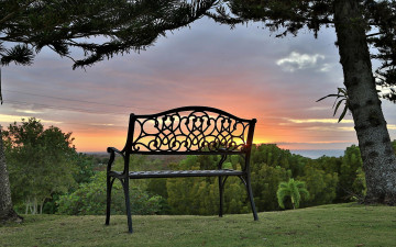 Картинка природа парк скамейка деревья