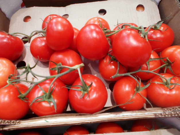 Обои картинки фото еда, помидоры, томаты