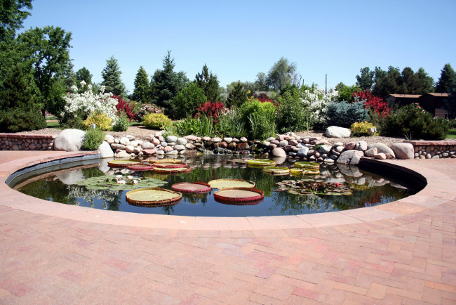 Обои картинки фото природа, парк, камни, пруд