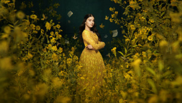 Картинка dickinson+ сериал+2019+–+ кино+фильмы -unknown+ другое emily dickinson хэйли стэнфилд биография драма комедия кадры из фильма дикинсон