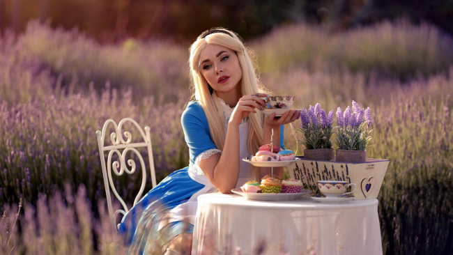 Обои картинки фото девушки, - креатив,  косплей, лаванда, блондинка, чаепитие, пирожные