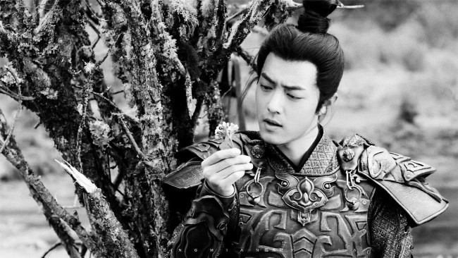 Обои картинки фото кино фильмы, the wolf, цзичун, броня, дерево, цветок