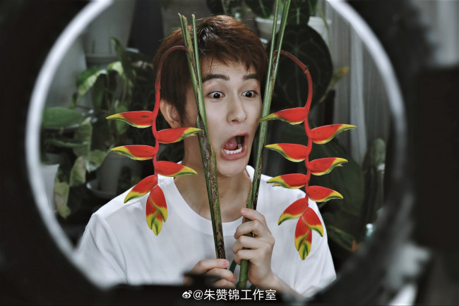 Обои картинки фото мужчины, zhu zanjin, актер, цветок