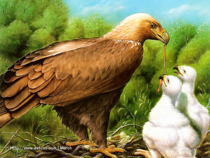 Картинка marcel socias рисованные