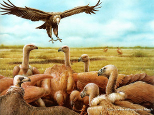 Картинка marcel socias рисованные