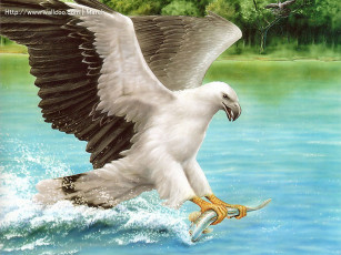 Картинка marcel socias рисованные