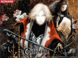 Картинка видео игры castlevania lament of innocence