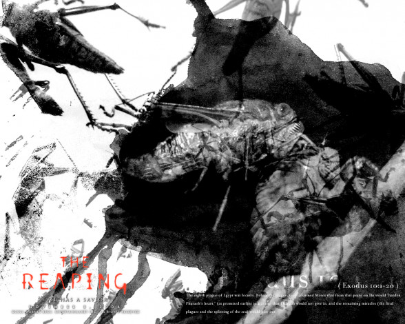 Обои картинки фото reaping, the, кино, фильмы