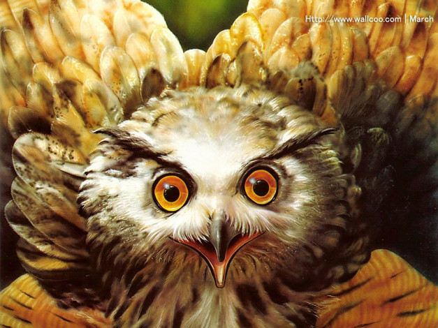 Обои картинки фото marcel, socias, рисованные