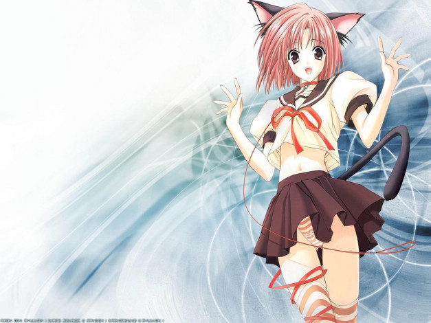 Обои картинки фото аниме, animals