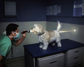 Картинка юмор приколы