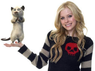 Картинка мультфильмы over the hedge