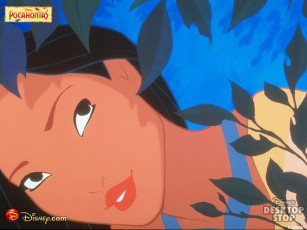 Картинка мультфильмы pocahontas