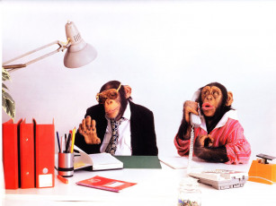 Картинка юмор приколы