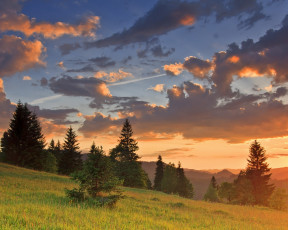 Картинка природа деревья ели горы облака закат