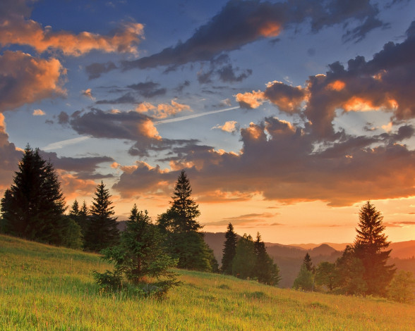 Обои картинки фото природа, деревья, ели, горы, облака, закат