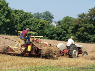 Картинка техника тракторы трактор