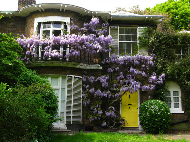 Обои картинки фото england, hampstead, города, здания, дома, кусты, цветы, дом