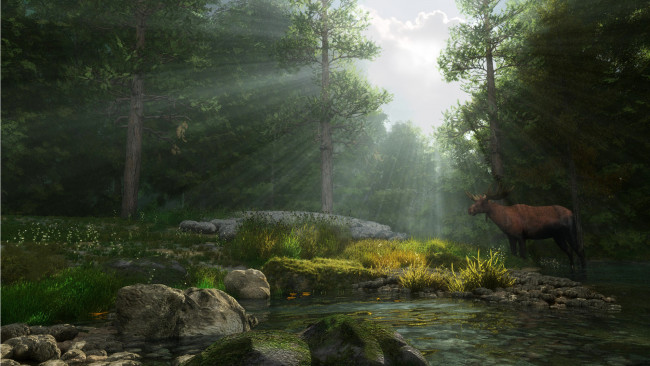 Обои картинки фото 3д, графика, animals, животные, лес, лось, река, лучи