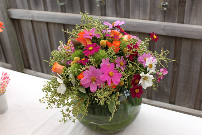 Обои картинки фото цветы, букеты, композиции, космея, розы