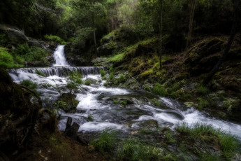 Картинка природа реки озера река лес